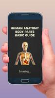 Human Anatomy Bones and Internal Organs Anatomical Affiche
