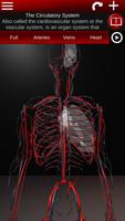 Circulatory System 3D Anatomy โปสเตอร์