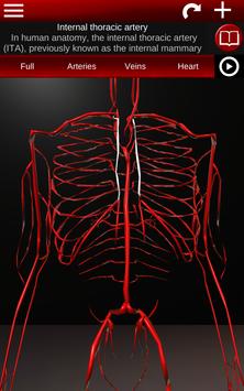 Circulatory System in 3D (Anatomy) screenshot 11