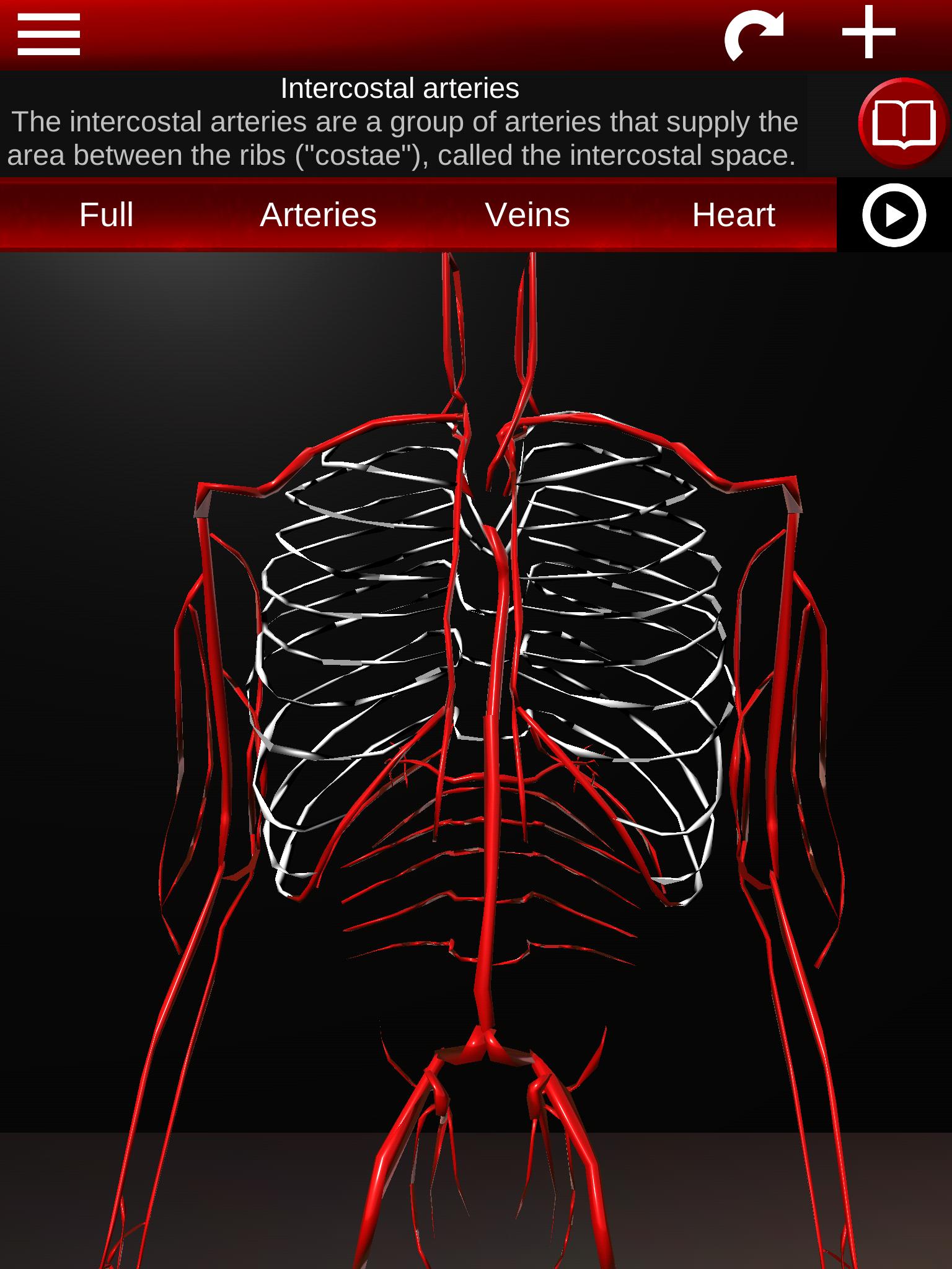 Circulatory System in 3D (Anatomy) for Android - APK Download