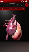 Circulatory System 3D Anatomy 스크린샷 1