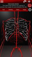 Circulatory System 3D Anatomy 스크린샷 2