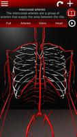 Circulatory System 3D Anatomy স্ক্রিনশট 2