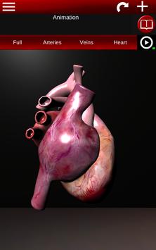 Circulatory System in 3D (Anatomy) screenshot 9