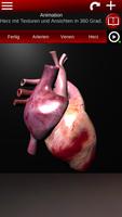 Kreislaufsystem in 3D Anatomie Screenshot 1