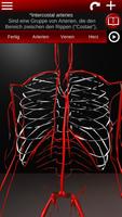 Kreislaufsystem in 3D Anatomie Screenshot 2