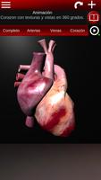 Sistema Circulatorio 3D captura de pantalla 1