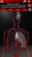 Système circulatoire 3D Affiche