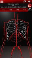 3Dによる循環系（解剖学） スクリーンショット 2