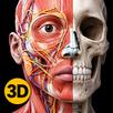 Anatomy 3D: Human Body Atlas APK