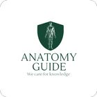 Anatomy Guide أيقونة