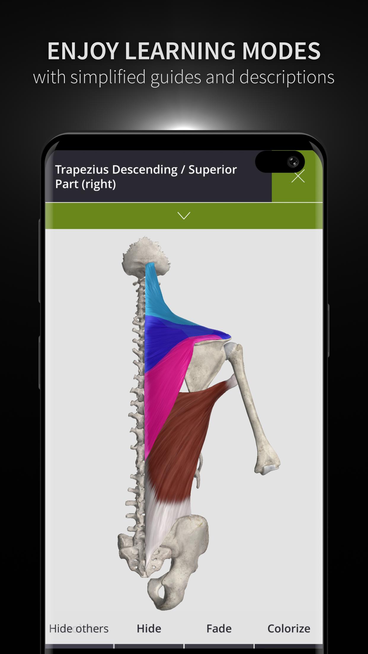 Anatomyka - 3D Human Anatomy Atlas for Android - APK Download