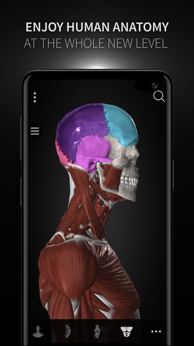 Anatomyka - 3D Anatomy Atlas screenshot 6