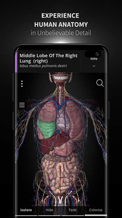 Anatomyka - 3D Anatomy Atlas poster