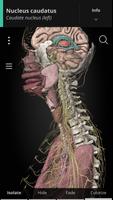 Anatomyka - 3D Anatomy Atlas ポスター