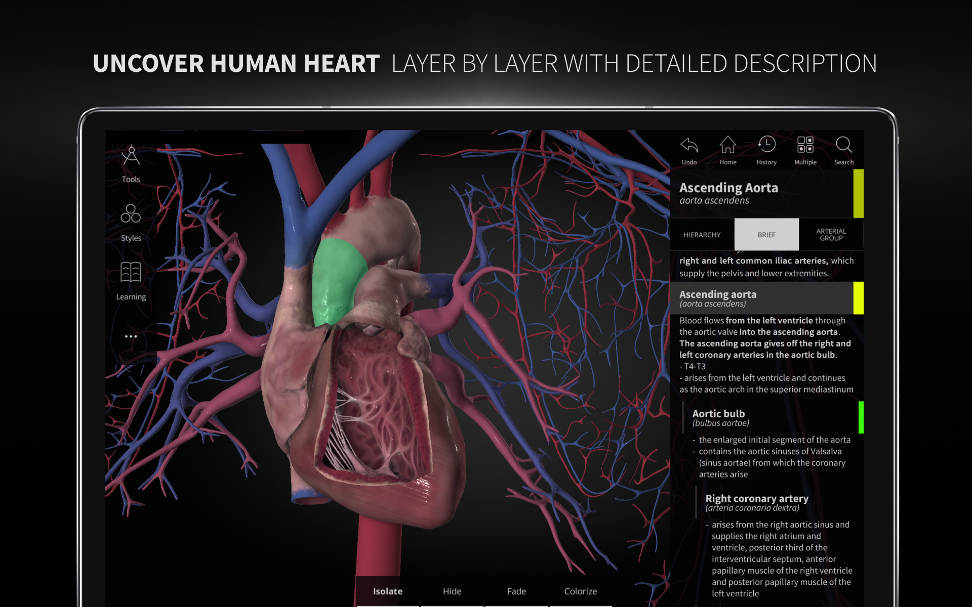 Anatomyka - 3D Human Anatomy Atlas APK 1.9.0 Download for ...