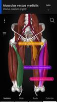 Anatomyka - 3D Anatomy Atlas تصوير الشاشة 1
