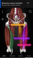 1 Schermata Anatomyka - Anatomia 3D