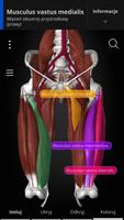 Anatomyka - Anatomia 3D screenshot 1