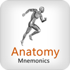 Anatomy Mnemonics APK