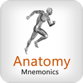 Anatomy Mnemonics