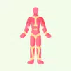 Quiz d'anatomie physiologie APK