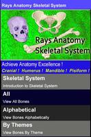Rays Anatomy Skeletal System Poster