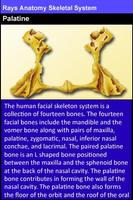 Rays Anatomy Skeletal System اسکرین شاٹ 3