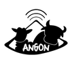 ANGON V2 ícone