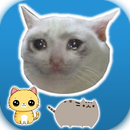 Gatos Stickers WAStickers App APK