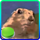 Dun Dun Duun Sonido Dramatico Boton APK