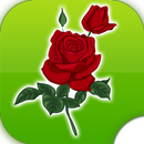 Flowers Stickers WAStickersApp APK