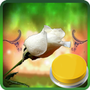 La Rosa de de la Virgen de Guadalupe APK