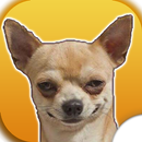 Perros Stickers WAStickersApp APK