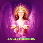 Angel Number Meanings icône