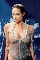 برنامه‌نما Angelina Jolie Wallpapers HD عکس از صفحه