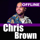 Chris Brown - OFFLINE MUSIC icon