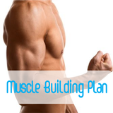 Muscle Building Diet Plan icône