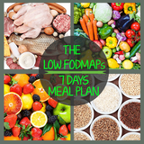 The Low-FODMAP's Diet Plan icône