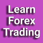 Training for Forex Trading أيقونة