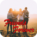 Friends ForEver Story Book APK