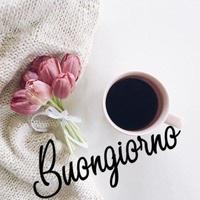 FOTO buongiorno  buonasera GIF penulis hantaran