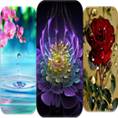 Beautiful Flowers Wallpaper APK