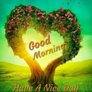 Morning Blessing Quotes APK