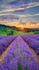 Everyday Blessing Quotes APK download