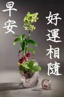 Good Morning Quotes (早安行情) 截圖 5