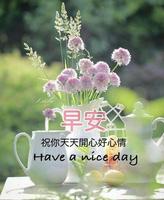 Good Morning Quotes (早安行情) Ekran Görüntüsü 1