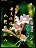 Good Morning Quotes (早安行情) Ekran Görüntüsü 2