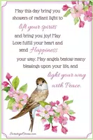 Everyday Blessing and Inspiration Quotes تصوير الشاشة 6