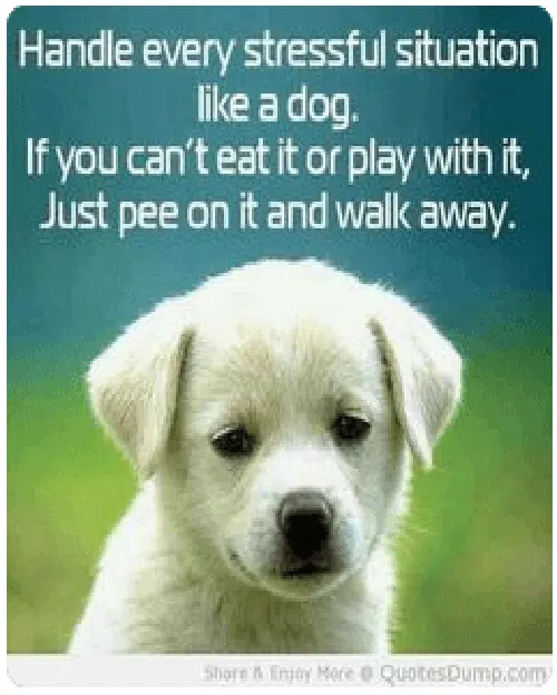 funny-inspirational-work-quotes